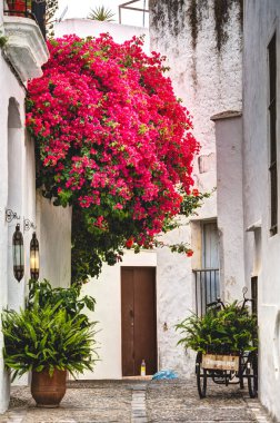 Vejer de la Frontera, İspanya - 1 Ağustos 2023: Bulutlu havada antik binalarla tarihi şehir merkezinin güzel manzarası, HDR Image