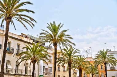 Cadiz, İspanya - Haziran 12023: Güneşli havada tarihi şehir merkezi, HDR Görüntü