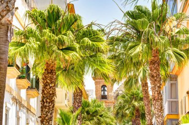 Cadiz, İspanya - Haziran 12023: Güneşli havada tarihi şehir merkezi, HDR Görüntü