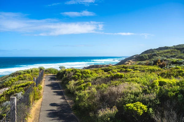 Scénický Pohled Poloostrov Mornington Slunečného Počasí Austrálie — Stock fotografie