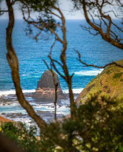 オーストラリア 晴れた天気のモーニングトン半島の景色 — ストック写真