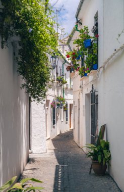 Priego de Cordoba, İspanya - 1 Haziran 2023: Güneşli havada resim köyü, HDR Görüntü