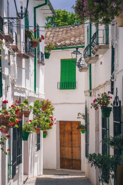 Priego de Cordoba, İspanya - 1 Haziran 2023: Güneşli havada resim köyü, HDR Görüntü