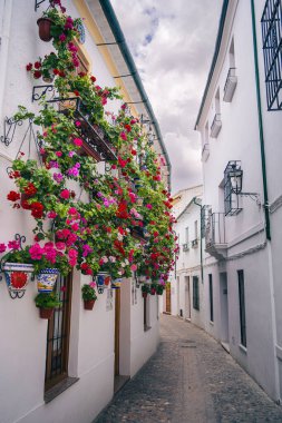 Priego de Cordoba, İspanya - 1 Haziran 2023: Güneşli havada resim köyü, HDR Görüntü