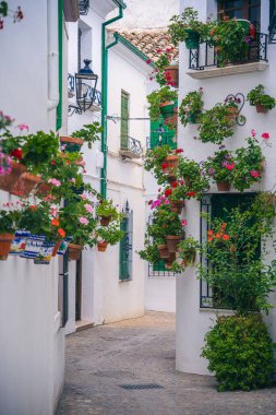 Priego de Cordoba, İspanya - 1 Haziran 2023: Güneşli havada resim köyü, HDR Görüntü