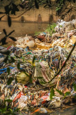 Endonezya 'da tropikal bitki ve ağaçlarla güzel manzara Bogor Gardens