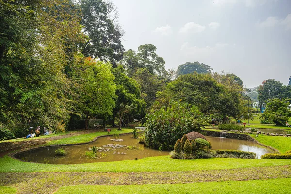 Hermosa Vista Bogor Gardens Con Plantas Tropicales Árboles Indonesia —  Fotos de Stock