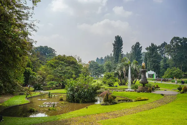 Hermosa Vista Bogor Gardens Con Plantas Tropicales Árboles Indonesia — Foto de Stock