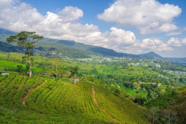 Slopes of the Gunung Lawu Volcano, Java, Indonesia clipart