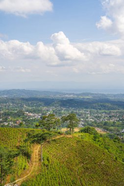 Slopes of the Gunung Lawu Volcano, Java, Indonesia clipart