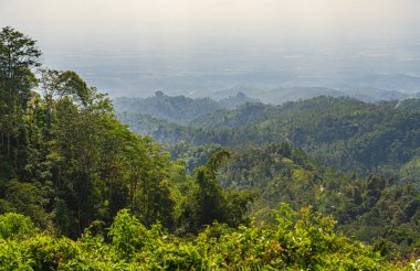 Gunung Lawu Volkanı, Java, Endonezya 'nın yamaçları
