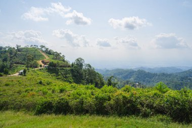 Gunung Lawu Volkanı, Java, Endonezya 'nın yamaçları