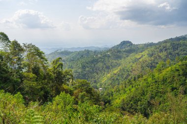 Gunung Lawu Volkanı, Java, Endonezya 'nın yamaçları