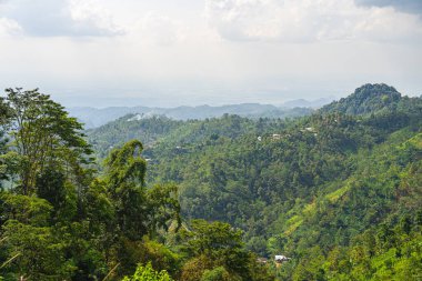 Gunung Lawu Volkanı, Java, Endonezya 'nın yamaçları