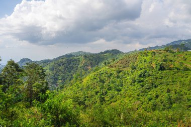 Gunung Lawu Volkanı, Java, Endonezya 'nın yamaçları