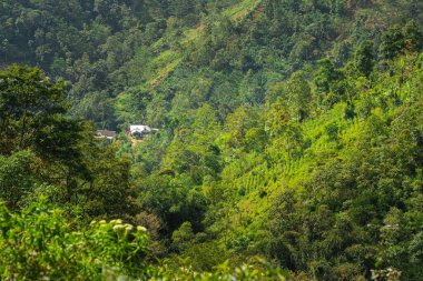 Gunung Lawu Volkanı, Java, Endonezya 'nın yamaçları