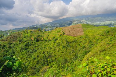 Gunung Lawu Volkanı, Java, Endonezya 'nın yamaçları