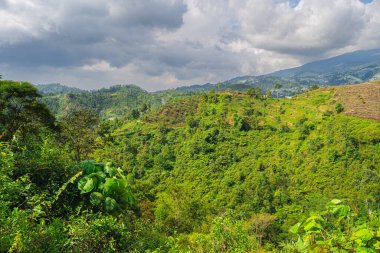 Gunung Lawu Volkanı, Java, Endonezya 'nın yamaçları