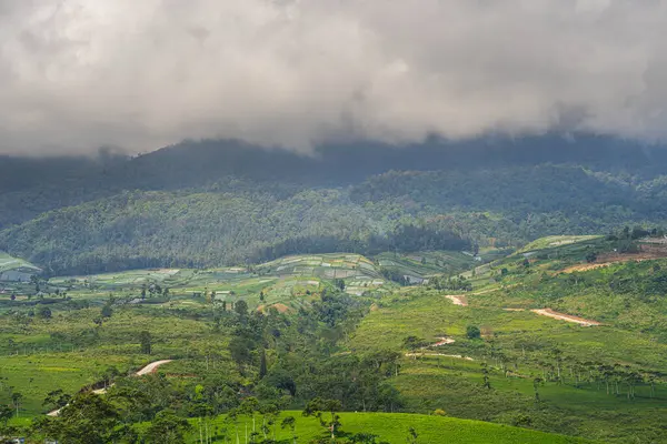 Gunung Lawu Volkanı Java Endonezya Nın Yamaçları — Stok fotoğraf