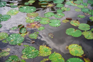 Ubud, Endonezya - 1 Temmuz 2023: Bulutlu Hava 'daki Tarihi Bali Köyü, HDR Görüntü