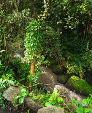 Ubud, Bali, Endonezya - Temmuz 12023: Bulutlu havada tarihi simgeler, HDR Görüntü