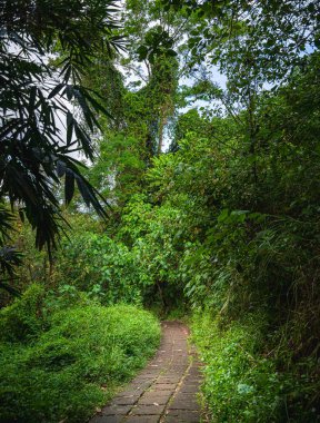 Ubud, Bali, Endonezya - Temmuz 12023: Bulutlu havada tarihi simgeler, HDR Görüntü