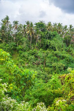 Ubud, Bali, Endonezya - Temmuz 12023: Bulutlu havada tarihi simgeler, HDR Görüntü