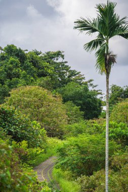 Ubud, Bali, Endonezya - Temmuz 12023: Bulutlu havada tarihi simgeler, HDR Görüntü