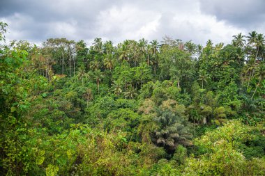 Ubud, Bali, Endonezya - Temmuz 12023: Bulutlu havada tarihi simgeler, HDR Görüntü