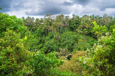 Ubud, Bali, Endonezya - Temmuz 12023: Bulutlu havada tarihi simgeler, HDR Görüntü