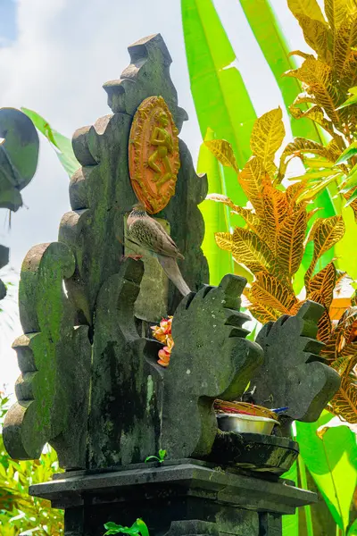 Ubud Indonesia July 2023 Picturesque Balinese Landmark Sunny Weather — Stock Photo, Image