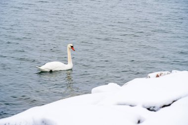 Mariehamn, Aland, Finlandiya - 25 Mart 2023: Karlı havada tarihi kent merkezi