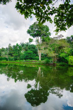 Bulutlu havada Singapur Botanik Bahçeleri, HDR Görüntü