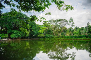 Bulutlu havada Singapur Botanik Bahçeleri, HDR Görüntü