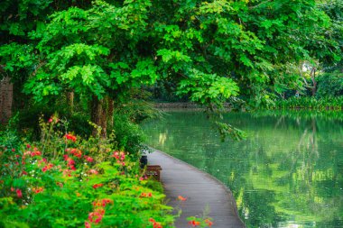 Bulutlu havada Singapur Botanik Bahçeleri, HDR Görüntü