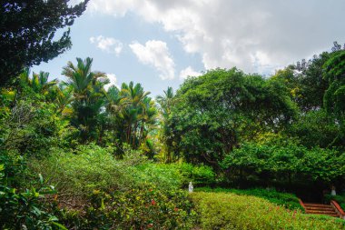 Bulutlu havada Singapur Botanik Bahçeleri, HDR Görüntü