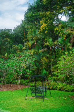 Bulutlu havada Singapur Botanik Bahçeleri, HDR Görüntü
