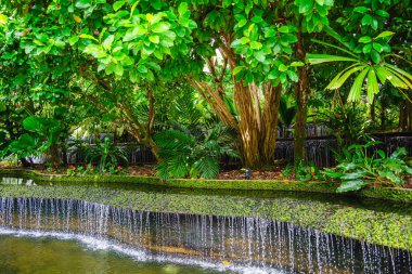 Bulutlu havada Singapur Botanik Bahçeleri, HDR Görüntü