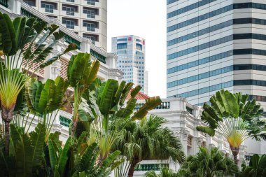 Singapur - 1 Temmuz 2023: Güneşli havada Singapur Şehir Merkezi, HDR Görüntü