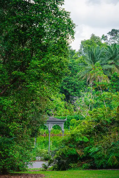 Jardins Botânicos Singapura Tempo Nublado Hdr Imagem — Fotografia de Stock