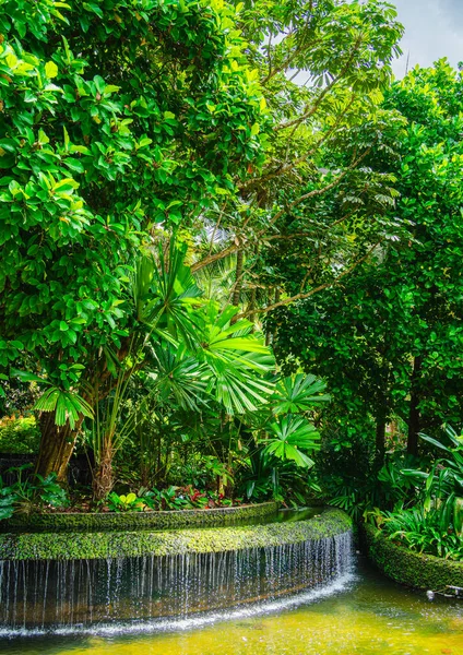 Singapore Botanische Tuinen Bij Bewolkt Weer Hdr Afbeelding — Stockfoto