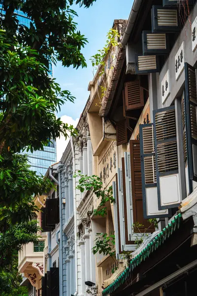 新加坡 2023年7月1日 阳光天气下的唐人街区 人类发展报告处图像 — 图库照片