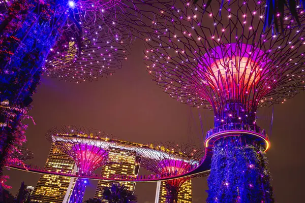 Singapur Julio 2023 Jardines Junto Bahía Por Noche Hdr Image —  Fotos de Stock