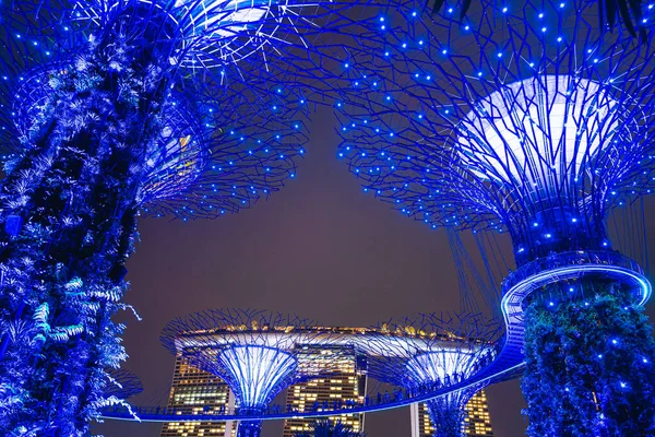 Singapur Julio 2023 Jardines Junto Bahía Por Noche Hdr Image — Foto de Stock