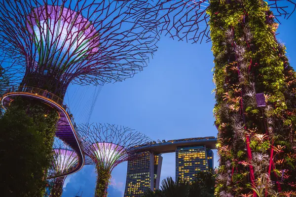 Singapore July 2023 Gardens Bay Night Hdr Image — Stok Foto