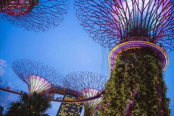 Сингапур Июля 2023 Года Ночные Сады Залива Hdr Image — стоковое фото