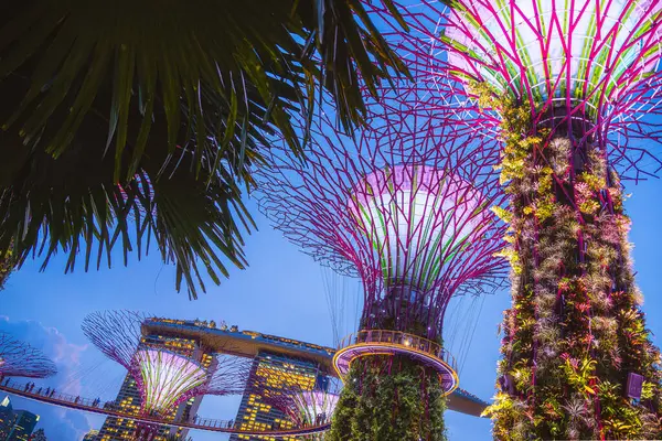 Singapura Julho 2023 Jardins Noite Baía Imagem Hdr — Fotografia de Stock