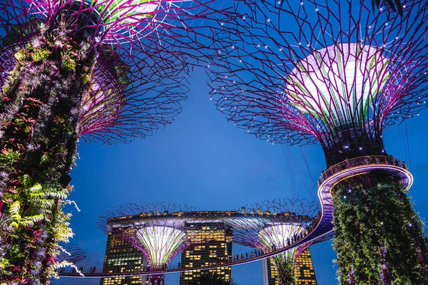 Singapur Července 2023 Zahrady Zálivu Noci Hdr Image — Stock fotografie
