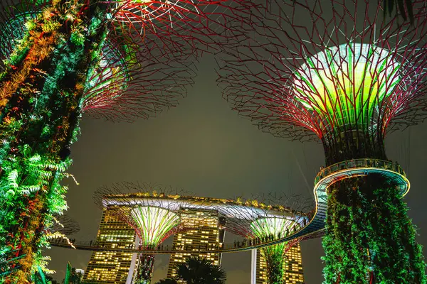 Singapore July 2023 Gardens Bay Night Hdr Image — Stock Photo, Image