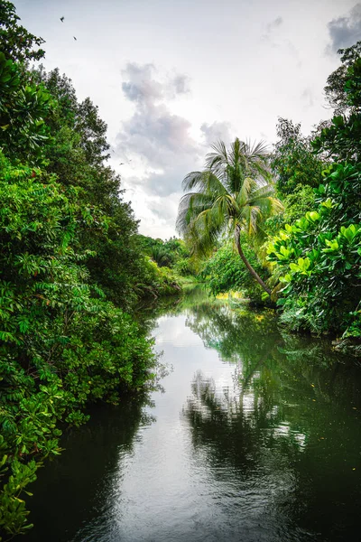 Singapur - Temmuz 12023: Singapur Nehri ve Limanı çevresindeki simgeler, HDR Görüntü